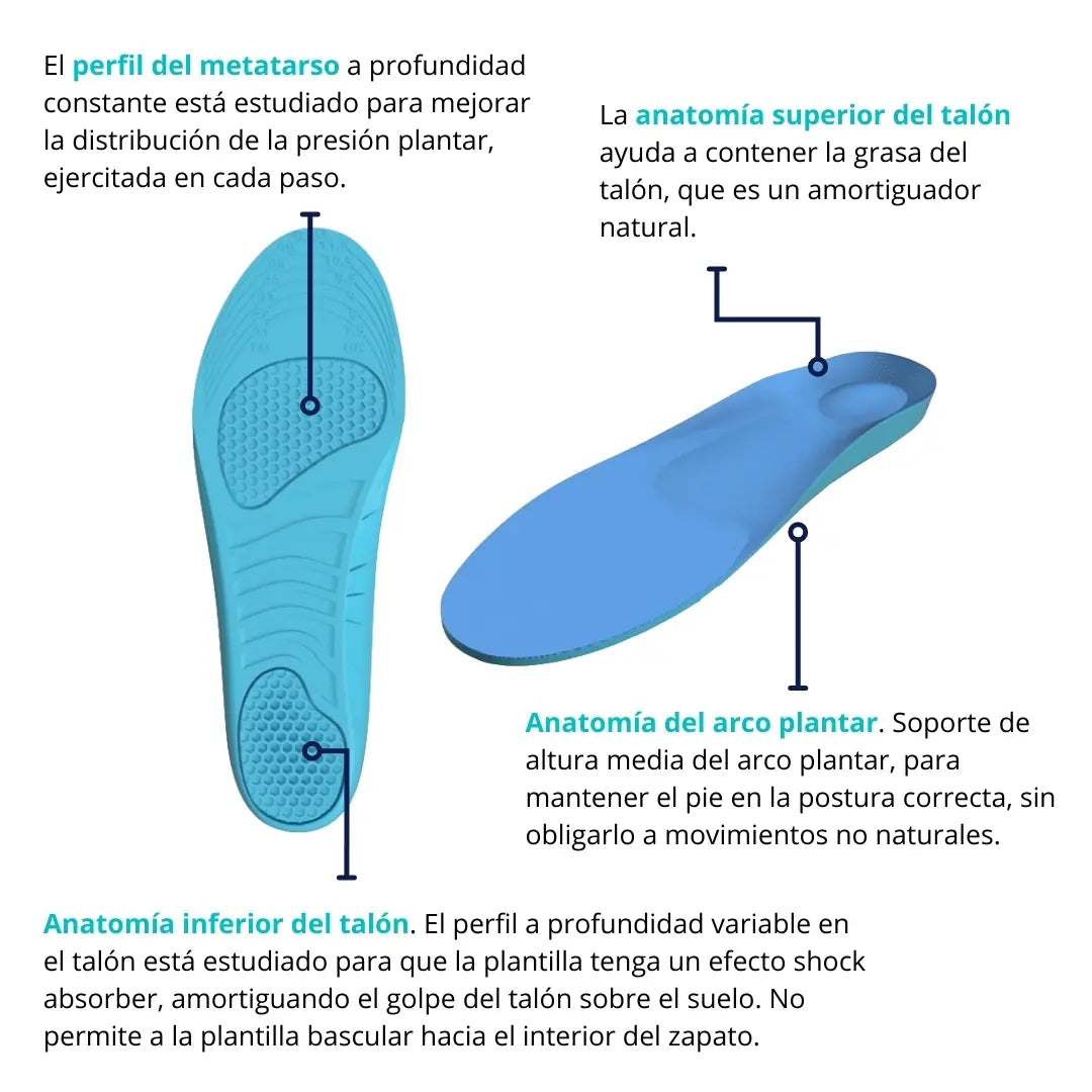 Componentes anatómicos de la plantilla de trabajo CLIVS, destacando soporte en el arco plantar, talón superior e inferior, diseñados para aliviar la fatiga y mejorar la postura.