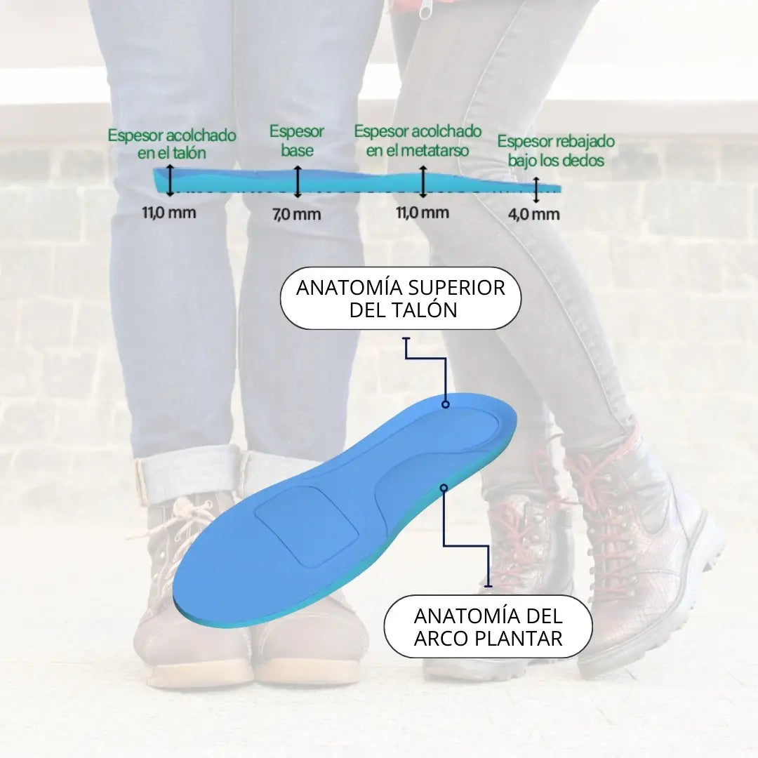 Vista anatómica de plantilla memory CLIVS con soporte en talón y arco plantar, acompañada de gráfica de espesor para destacar su diseño funcional.