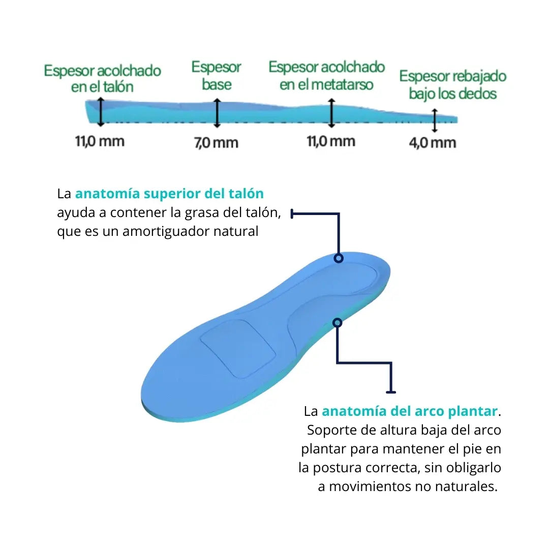 Gráfica de espesor de la plantilla memory CLIVS con detalles en talón, metatarso y base, mostrando su diseño anatómico para amortiguación y confort.