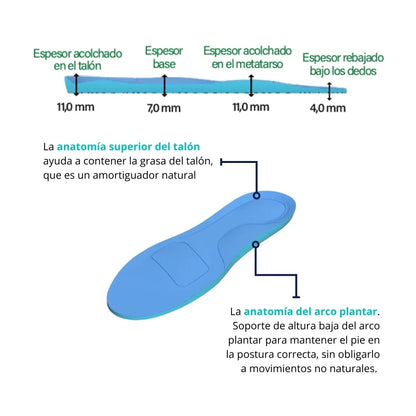 Gráfica de espesor de la plantilla memory CLIVS con detalles en talón, metatarso y base, mostrando su diseño anatómico para amortiguación y confort.