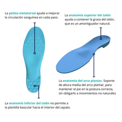 Vista anatómica de plantilla sport CLIVS destacando soporte en talón, arco plantar y metatarso, optimizada para evitar movimientos no naturales.